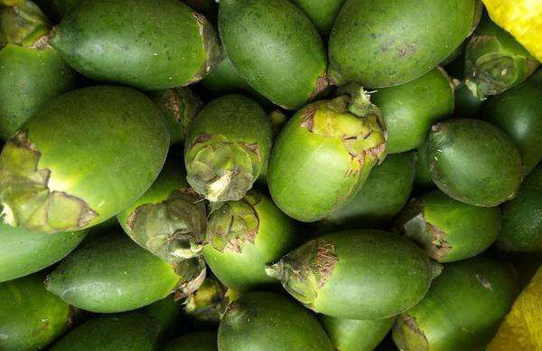 ���ƵĹ�Ч������ ��ʳ��������ЩΣ��